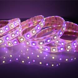 IP68 RGBW LED Strips